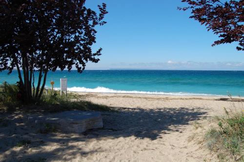 a beach with a tree and the ocean at Secluded Sunset in Glen Arbor