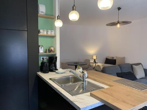 kuchnia ze zlewem i salon w obiekcie Chez Paul et Louis w mieście Rodez
