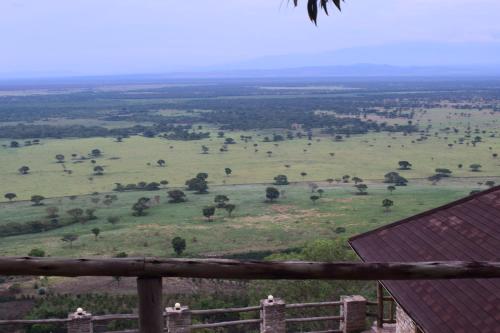 a view of a green field with animals in it at Rift Valley Game Lodge Rubirizi in Katara