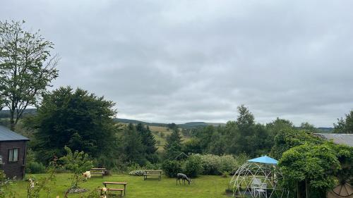 a field with a yard with a horse in the grass at The Granary Country Retreat in Lampeter