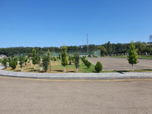 a road with a bunch of trees in a parking lot at Arena Hotel Lankaran in Lankaran