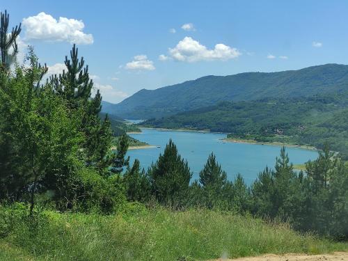 Gallery image of Vila Zapis - Zavojsko jezero in Pirot