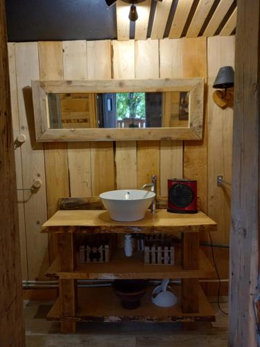 a bathroom with a sink and a mirror at Chalet cocooning pleine nature in Montmorot