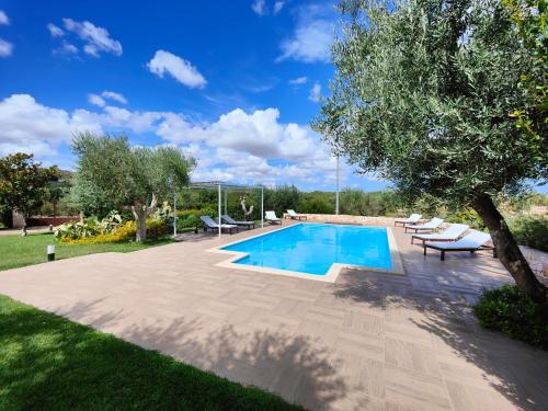 a swimming pool in a yard with chairs and a tree at Villa Mest Pepp in Monopoli