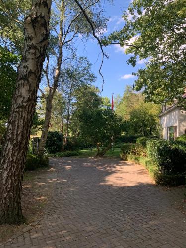 Un jardín fuera de TimeOut-Breda