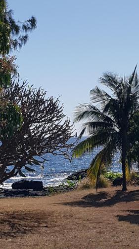a beach with a palm tree and the ocean at Villa Osiris in Flic-en-Flac