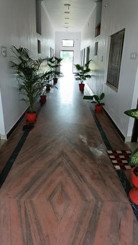 an empty room with potted plants on the floor at The Mountain View Home Stay in Khajurāho
