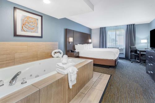 um quarto de hotel com uma cama e uma banheira em Wingate by Wyndham Wisconsin Dells Waterpark em Wisconsin Dells