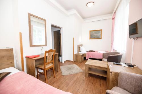 TV a/nebo společenská místnost v ubytování Hotel Džbán