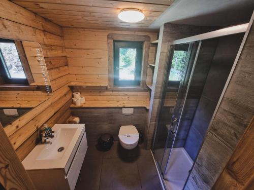 an overhead view of a bathroom with a toilet and sink at Domek Na Wypasie in Jugów