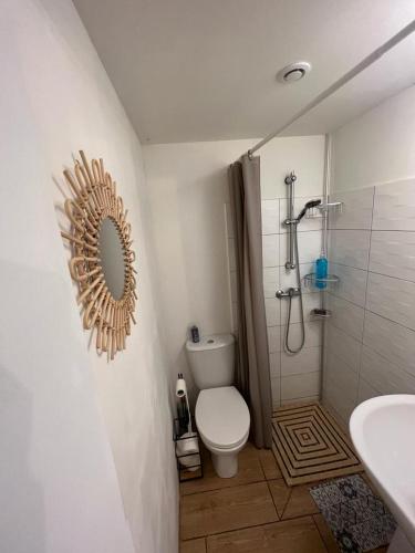 La salle de bains est pourvue de toilettes et d'une douche avec un miroir. dans l'établissement 8-Gîte 5 personnes avec piscine, à Saint-Aubin-de-Nabirat