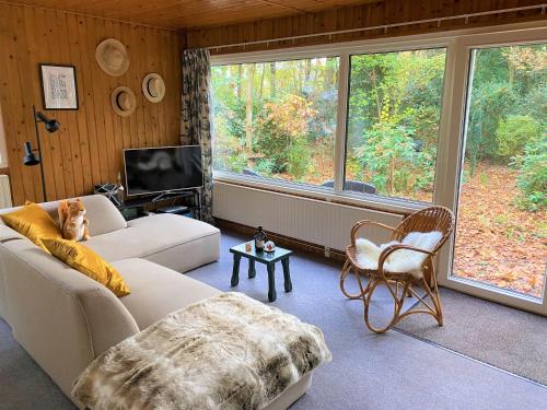 a living room with a dog sitting on a couch at Knus boshuisje middenin de natuur in Doldersum