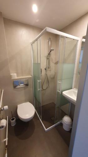 uma casa de banho com um chuveiro, um WC e um lavatório. em Altes Zollhaus Hülperode em Hülperode