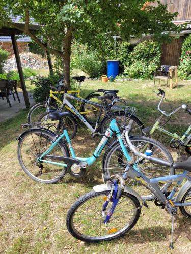 een groep fietsen geparkeerd in het gras bij Wohnung Waltraud in Plattenburg