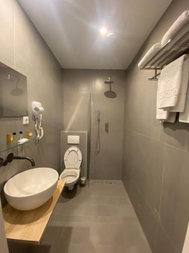 a bathroom with a sink and a toilet and a shower at Hotel Cataleya in Almere