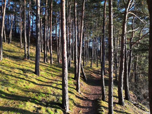 Fotografie z fotogalerie ubytování Statek Vletice v destinaci Krásná Hora nad Vltavou