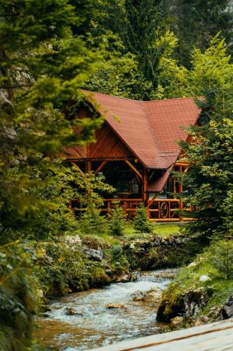 a log cabin in the woods next to a river at Casa Cheile Dâmbovicioarei - Cabana 1 in Dîmbovicioara