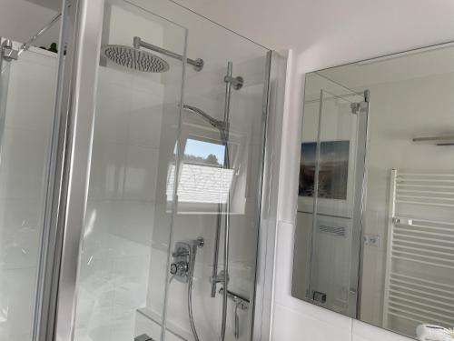 a bathroom with a shower and a mirror at Hopfenglück in Tettnang