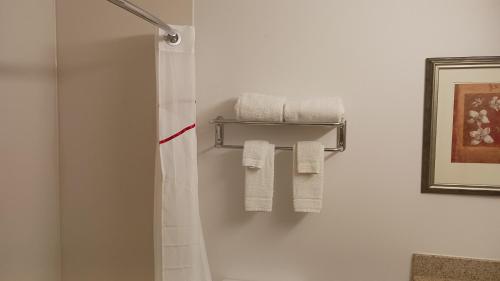 a bathroom with a shower and white towels at Red Roof Inn & Suites Midland in Midland
