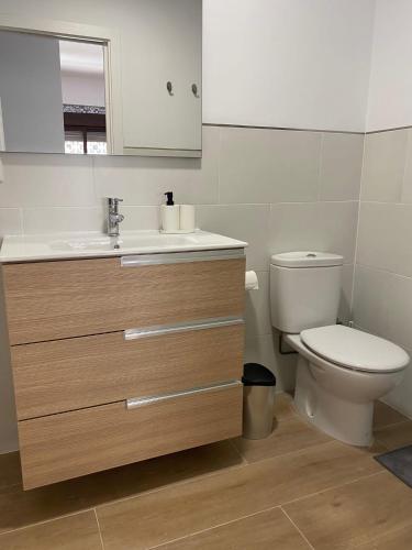 a bathroom with a toilet and a sink and a mirror at Apartamento Vista Altillo in Almuñécar