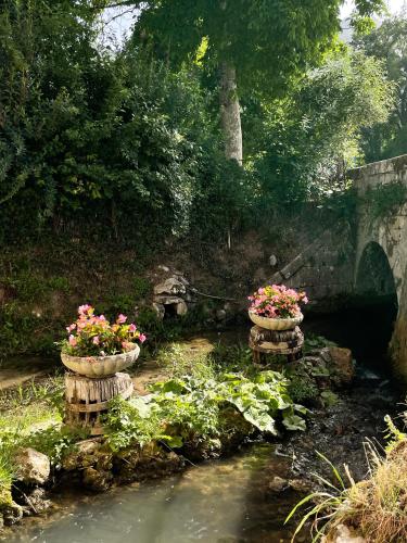 Un jardín fuera de Le Farine Del Maestro