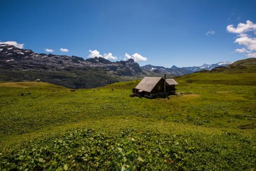 a barn in a field with mountains in the background at Berggasthaus Tannalp in Frutt