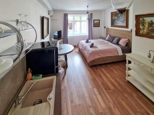 a bedroom with a bed and a television in a room at Apartmán Praha Břevnov in Prague