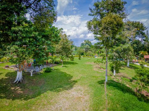 Finca Hotel San Isidroにある庭