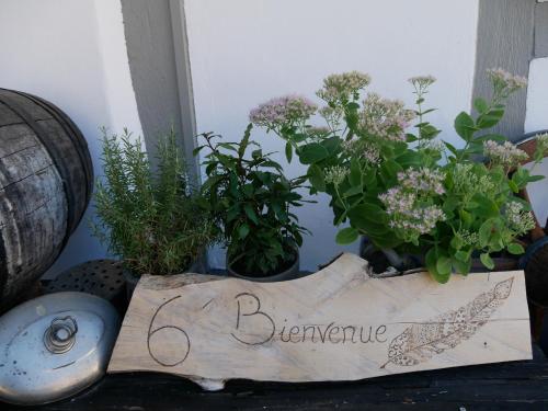 a group of plants sitting next to a sign at Chambres d'hôtes "La Bouill'hôte" in Langensoultzbach