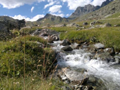 a stream in a field with mountains in the background at Haus Musella in Samnaun
