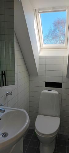 ein Badezimmer mit einem WC, einem Waschbecken und einem Dachfenster in der Unterkunft Lägenhet Gislövs strandmark in Trelleborg