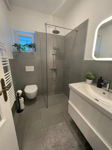 a bathroom with a shower and a toilet and a sink at Apartment Solare in Portorož