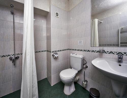 a bathroom with a toilet and a sink at Hotel Akord - Free Parking & Metro Access in Sofia