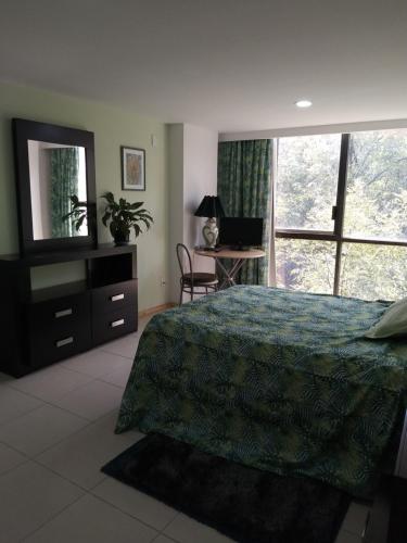 1 dormitorio con cama, escritorio y espejo en Charming bedroom overlooking beautiful trees in the best Condesa Area, en Ciudad de México