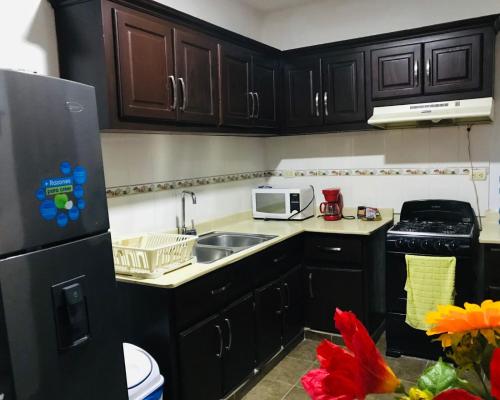 Fotografie z fotogalerie ubytování Apartamentos ipap luperon v destinaci Luperón