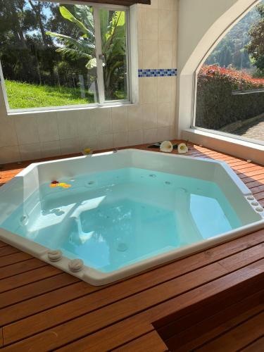 a bath tub with a shark in it with a window at La Posada De Los Arcángeles in Madrid