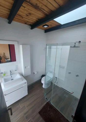a bathroom with a shower and a sink and a toilet at Casa Ilhe Ha in Santa María Tonameca