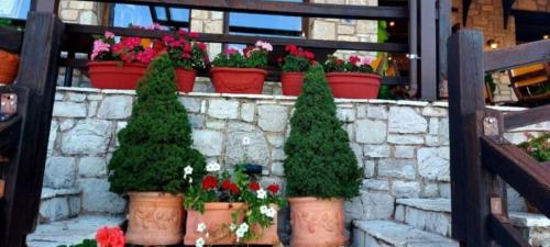 a bunch of potted plants and flowers on a wall at Χρυσοπελεια - Chrisopeleia Lake View in Neochori