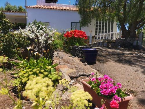 a garden of flowers in front of a house at CASA rural DOLORES en Adeje in Adeje