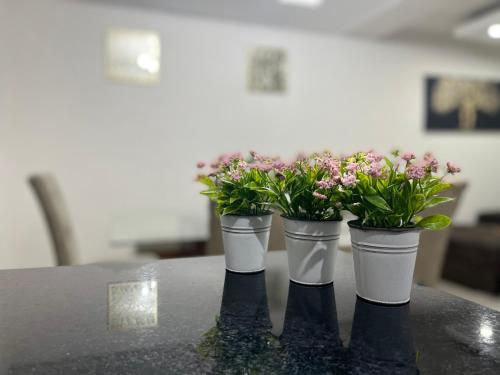 three potted plants sitting on top of a table at La casa del Rincon in Querétaro