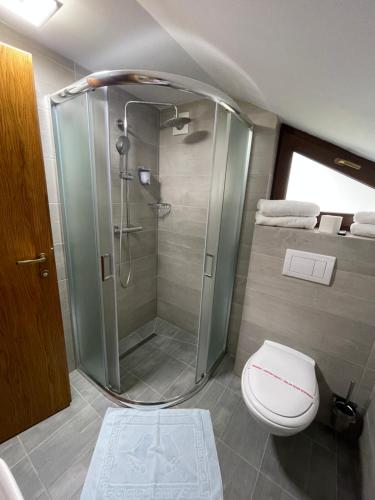 a bathroom with a shower and a toilet at Villa Montana Borsec - Vedere Munte in Borsec