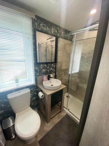 Ένα μπάνιο στο Teviotdale Lodge at Lilliardsedge Holiday Park