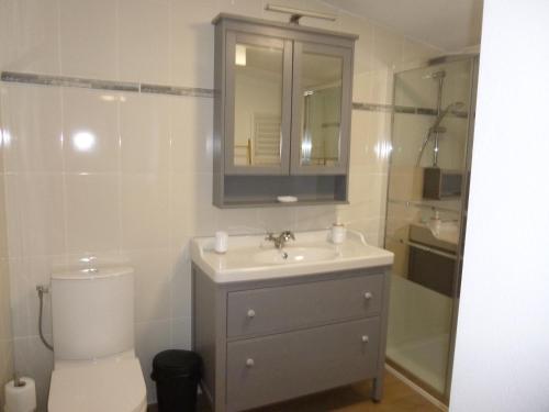 a bathroom with a sink and a toilet and a mirror at LES RIVES DE LA DIVE les chambres 123 coaching in Moncontour-de-Poitou