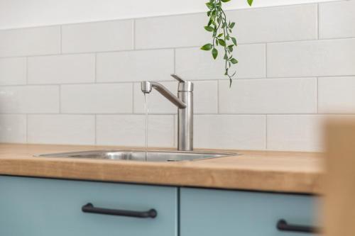 a kitchen sink with a potted plant above it at Beach & Forest Retreat -Domburg- in Oostkapelle