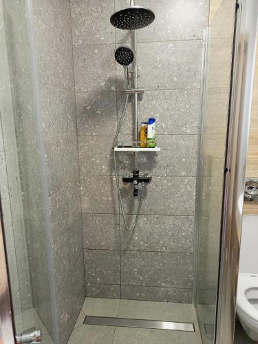 a shower with a glass door and a toilet at NEW apartment for RELAX in Uzhhorod