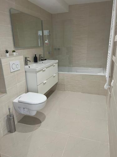 une salle de bain avec toilettes, lavabo et baignoire dans l'établissement App 1 Mulhouse centre , 6 personnes, à Mulhouse