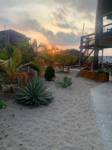 a beach with plants and the sunset in the background at Un Dia Boutique Resort in Playas