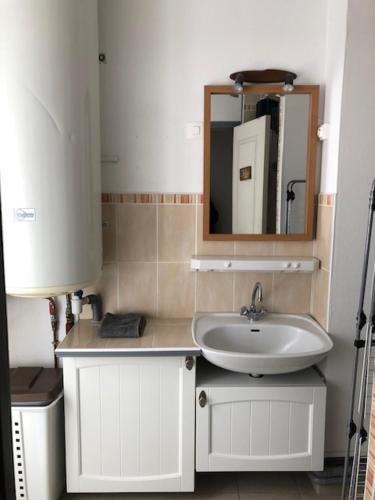 La salle de bains est pourvue d'un lavabo et d'un miroir. dans l'établissement IDEAL MONTAGNE, à Le Mont-Dore