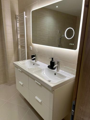 une salle de bain avec un lavabo blanc et un miroir dans l'établissement App 2 Mulhouse centre , 6 personnes, à Mulhouse
