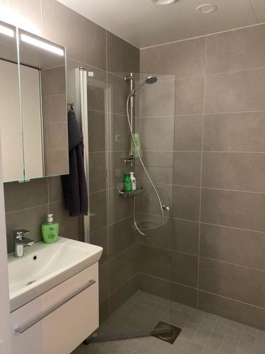 La salle de bains est pourvue d'une douche et d'un lavabo. dans l'établissement City Home Alvari, free parking, air conditioning, à Kuopio